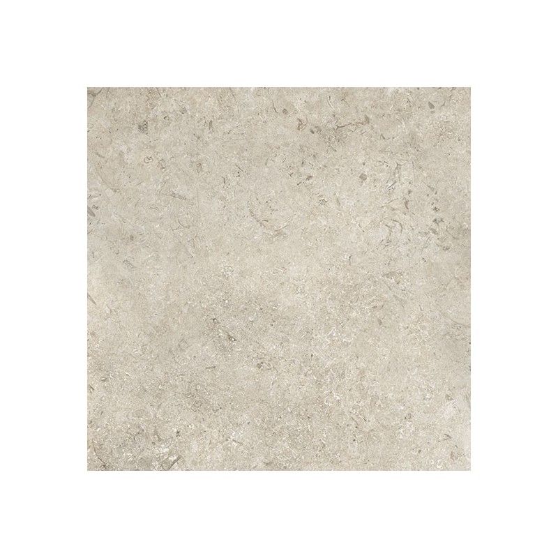 GOLDENSTONE GREY 60,4X90,6 POLISHED RT - COEM JU693LR COEM - 1