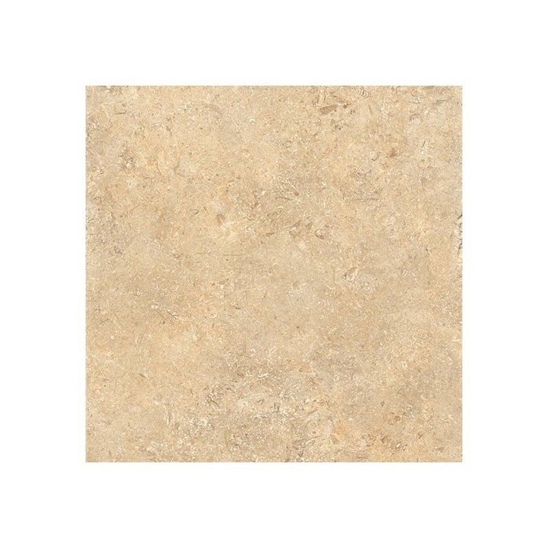 GOLDENSTONE GOLD 60,4X90,6 LUCIDATO RT - COEM JU698LR COEM - 1