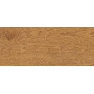 Exence Amber 30x120 20mm - Atlas Concorde CERAMICHE ATLAS CONCORDE - 1