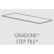 REALSTONE SLATE XT20 40x80  MUSK GRADONE - RAGNO R69E RAGNO  - 1