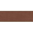 RESINA TERRACOTTA 40x120 - RAGNO R79Z RAGNO  - 1