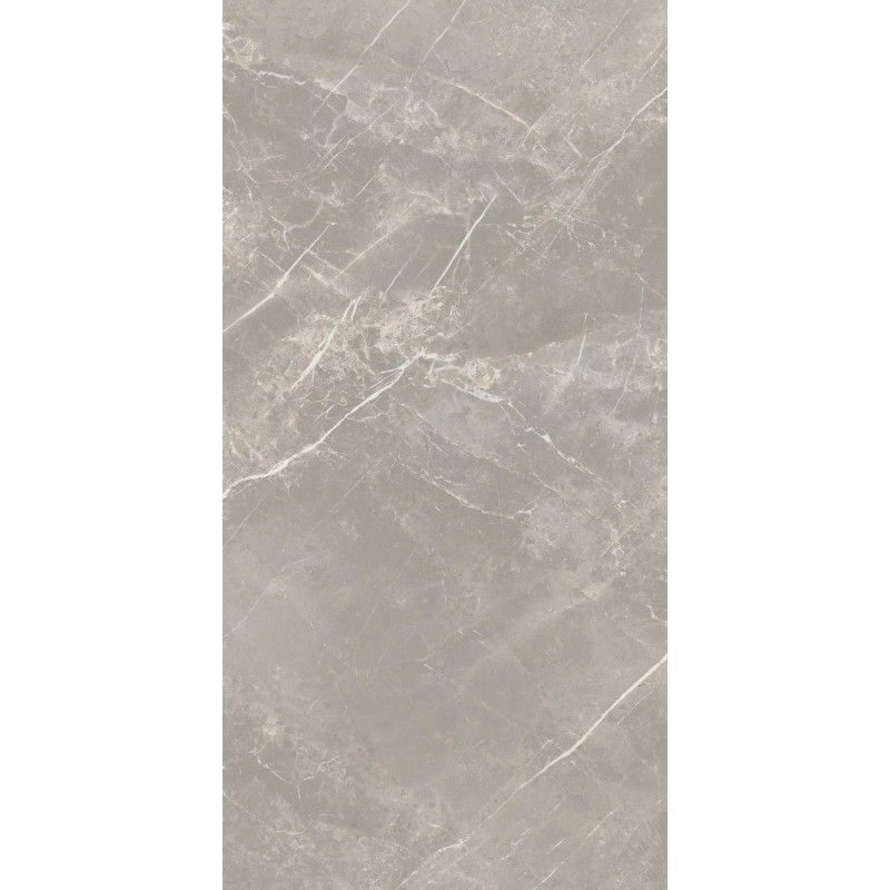 ELEMENTAL STONE GREY DOLOMIA  LUCIDO 30X60 RETTIFICATO  - CERIM 766630