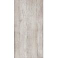 MOON  NATURALE STRUCTUREE MATT  AJUSTEE   Argento 60x120 - LEONARDO MOON C 12AG RM LEONARDO CERAMICA - 1