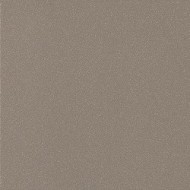 GRANITO 1 - EVO CHICAGO ANTIBACTERIAL 30x60 cm - CASALGRANDE PADANA 3795784 CASALGRANDE PADANA - 1