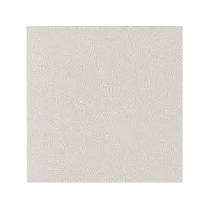 GRANITO 1 - EVO BOSTON ANTIBACTERIAL 30x60 cm - CASALGRANDE PADANA 3795787 CASALGRANDE PADANA - 1