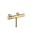 Ecostat - Thermostatmischer Aussendusche - Polished Gold Optic AX 13116990 HANSGROHE - 1