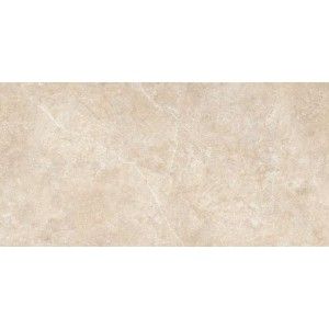 REALSTONE ARGENT SABBIA 60X120 RECTIFIED 6MM - RAGNO R8SS RAGNO  - 1