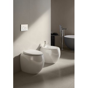 BACK TO WALL WC RIMLESS hidden fixings included CLOUD  Rak Ceramics