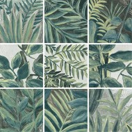 FIO CLOROFILLA PRIMAVERA 20X20 Rektifiziert - Ceramica Fioranese CLO20PR FIORANESE CERAMICHE - 1