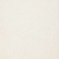 JUST GREY 60X60 WHITE BRUSHED - Graniti Fiandre P600114 GRANITI FIANDRE - 1