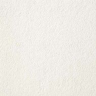 JUST GREY 60X60 SUPER WHITE BRUSHED - Graniti Fiandre P600120