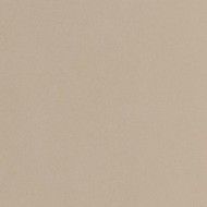 PARADE Beige 120x120 Fond naturel mat lisse rectifié monocalibre - Ceramica d'Imola PRTU 120B RM CERAMICA D'IMOLA - 1