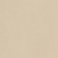 PARADE Almond 120x120 Monokaliber rektifizierte glatte polierte Fliese - Ceramica d'Imola PRTU 120A LV CERAMICA D'IMOLA - 1