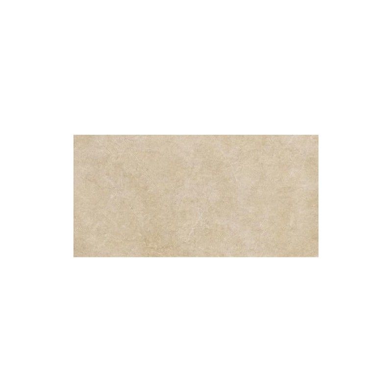 ARGENT XT20 60X120cm MIELE AJUSTEE - Ragno R9XE RAGNO  - 1