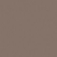 UNICOLORE  GRIGIO CENERE SECURA 11,2MM 30x30  - CASALGRANDE PADANA   724502 CASALGRANDE PADANA - 1