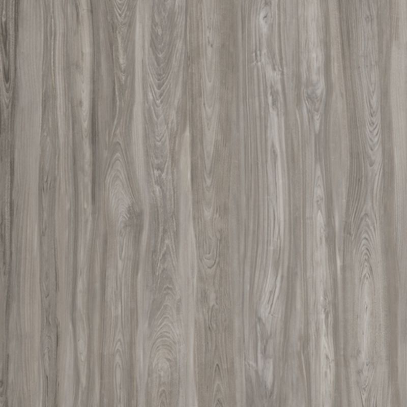 CLASS WOOD  CLASS GREY 60x120 - CASALGRANDE PADANA 10460267 CASALGRANDE PADANA - 1