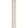 TIMELESS IVORY TENDINA  24x150 -  J89660 Ceramiche Rondine CERAMICA RONDINE - 1