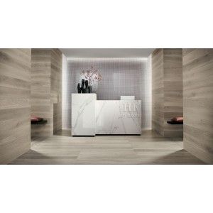 FAPNEST 20X120 SILVER MATT RECTIFIED - fNZZ Fap Ceramiche FAP CERAMICHE - 1