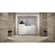 FAPNEST 20X120 SILVER OUT Rettificato - fOAC Fap Ceramiche FAP CERAMICHE - 1