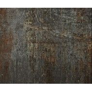 CAST IRON BLACK NATURAL 29,75X59,55 - Apavisa APAVISA - 1