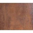 CORTEN COPPER NATURAL 49,75X99,55 - Apavisa APAVISA - 1