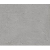 EQUINOX GREY SOLID 2CM 49,75X99,55 - Apavisa APAVISA - 1