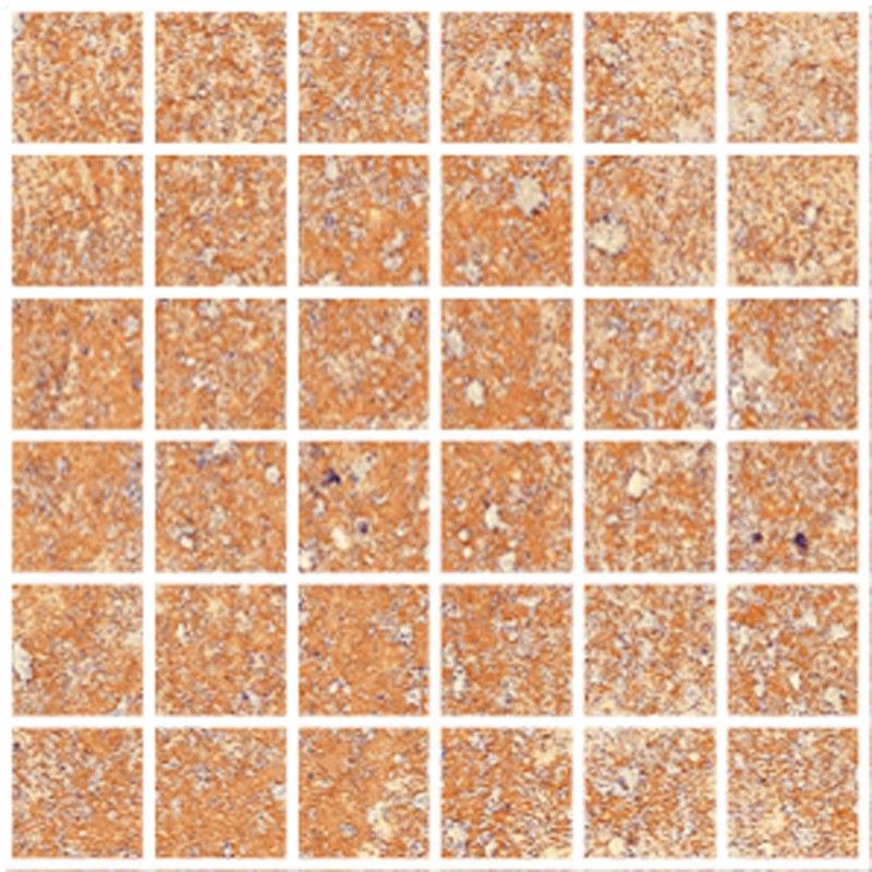 FIRE BEIGE NATURAL MOSAICO 5X5 29,75X29,75/ - Apavisa APAVISA - 1