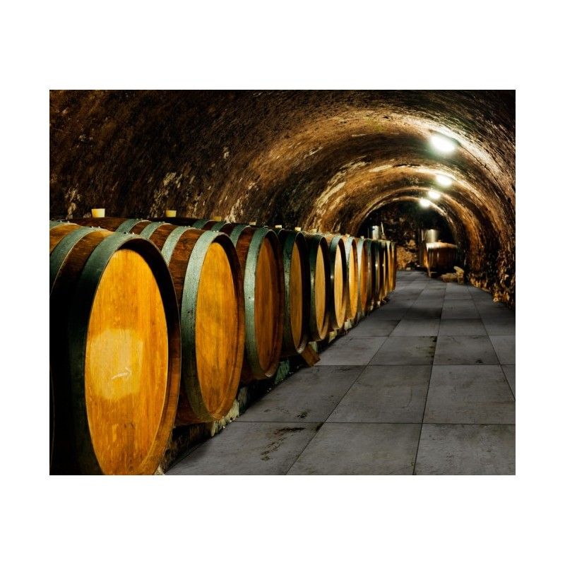 REGENERATION BLACK NATURAL 44,63X89,46 - Apavisa APAVISA - 1