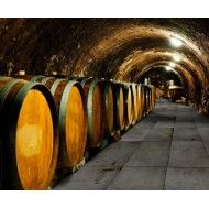 REGENERATION BLACK NATURAL 89,46X89,46 - Apavisa APAVISA - 1