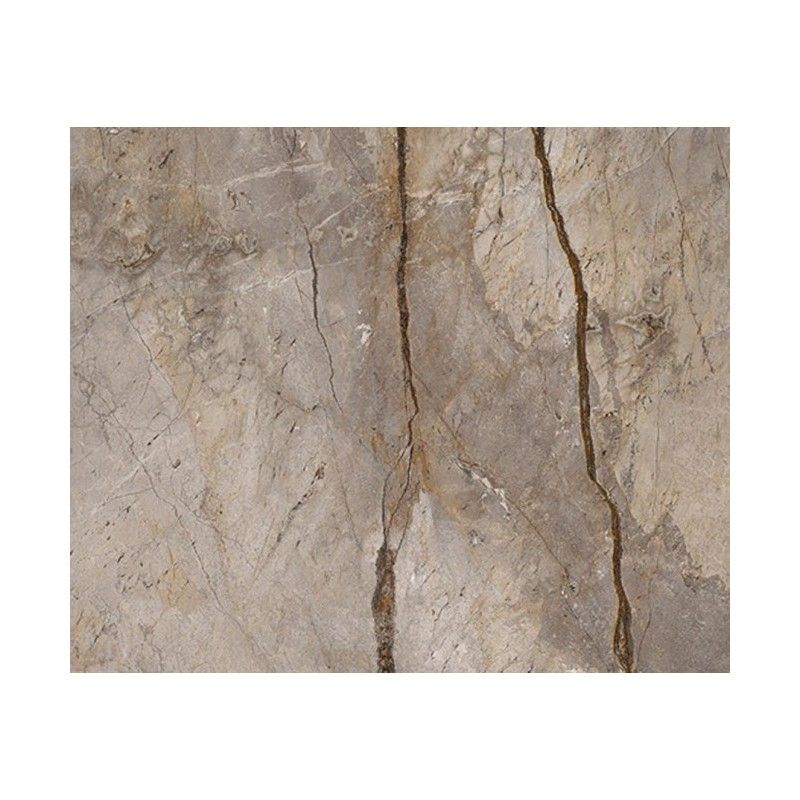 WILD FOREST GREY NATURAL MIX 119,3X119,3 - Apavisa APAVISA - 1