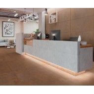 ZINC COPPER NATURAL 59,55X119,3 - Apavisa APAVISA - 1