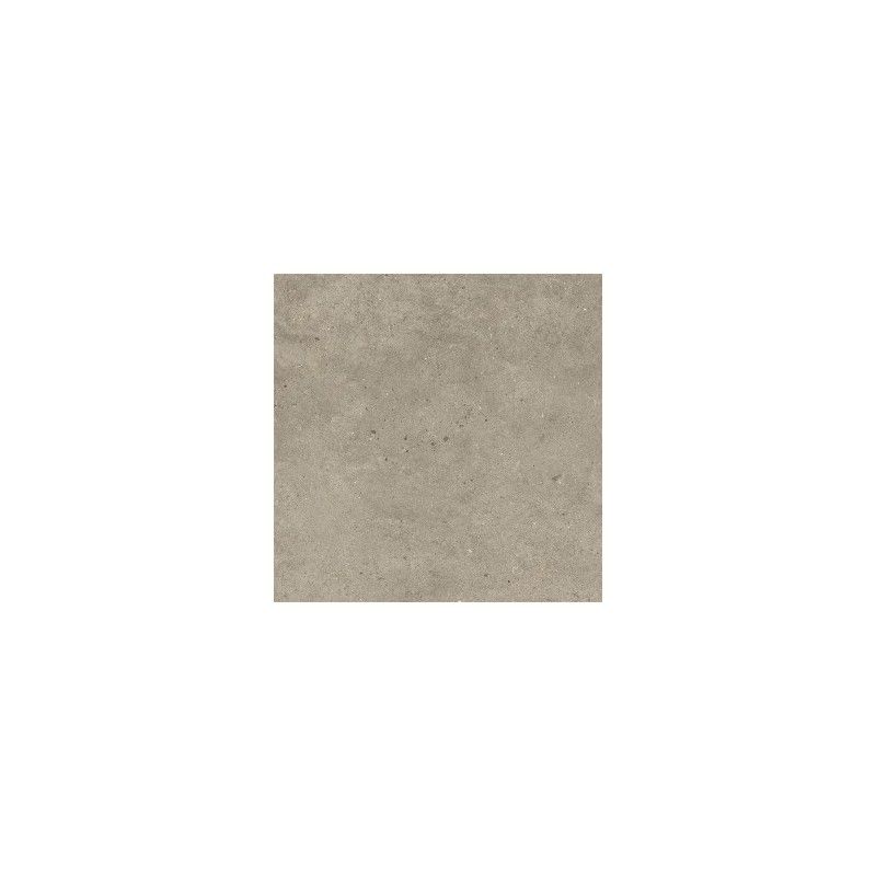 SILVER GRAIN TAUPE RETTIFICATO  60X60 - ITALGRANITI SI0468 ITALGRANITI GROUP - 1