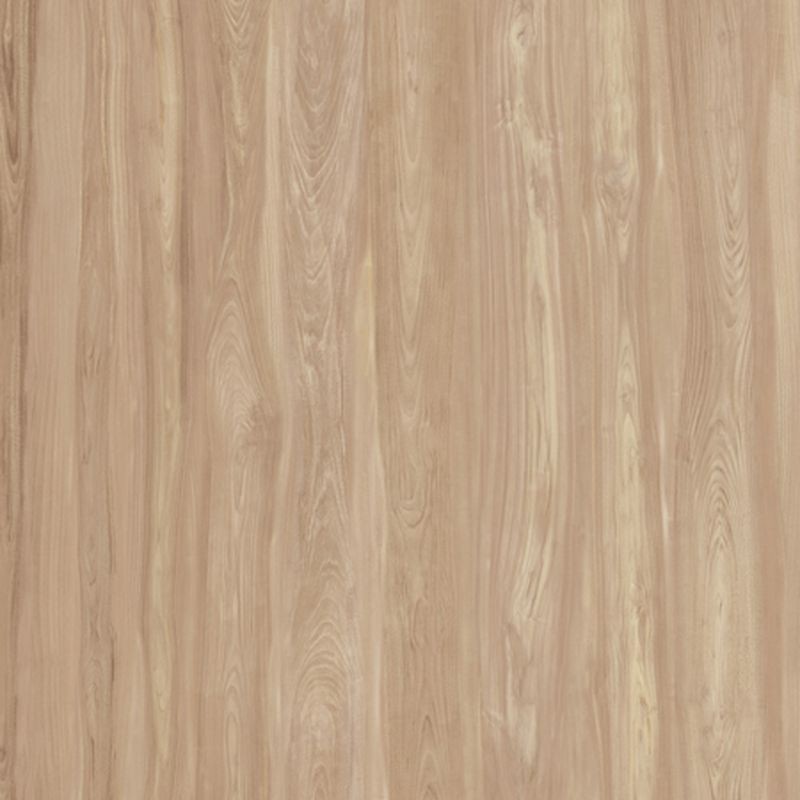 CLASS WOOD CLASS BROWN 20x120 - CASALGRANDE PADANA 10100168 CASALGRANDE PADANA - 1