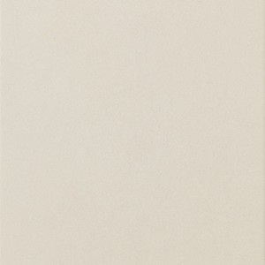 CITTA' PRAGA  NOT RECTIFIED  45x45 - CASALGRANDE PADANA 10350299 CASALGRANDE PADANA - 1