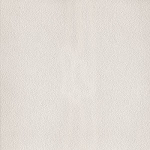 LIGHT SCOLPITO 60X120 6MM - GIGACER GIGACER - 1