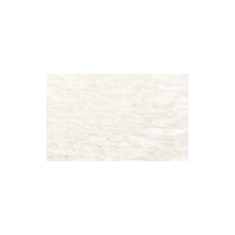 INCLUSIONI SOAVE BIANCO PERLA BUSH HAMMERED 60X120 12MM - GIGACER GIGACER - 1