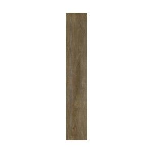 INEDITO CENERE SQ 25X150 - RAGNO RADR RAGNO  - 1