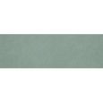 COLOR LINE 25X75 SALVIA - FAP CERAMICHE fREY FAP CERAMICHE - 1