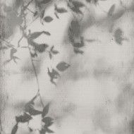 ART WALLS SHADOW NATURAL REKTIFIZIERT 60X120 - FLAVIKER PF60012582 FLAVIKER - 1