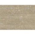 ARKISTYLE EARTH LINE MOSAIC 30x60 - CERAMICHE MARCA CORONA J285 CERAMICHE MARCA CORONA  - 1