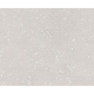 BARRO GREY NATURALE 8X50 8,12X49,68 APAVISA APAVISA - 1