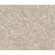 TRACK BEIGE NATURAL 49,75X99,55 APAVISA APAVISA - 1