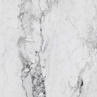 MEDICEA MARBLE WHITE GLOSSY  120X260 - Rak Ceramics RAK CERAMICS TILE - 1