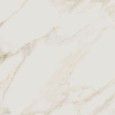 Calacatta Puro 120x120 POLIERT - CERDOMUS 96582 CERDOMUS - 1
