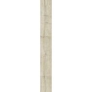 WOODTALE  BETULLA  RT 15X120CM R4TS RAGNO RAGNO  - 1