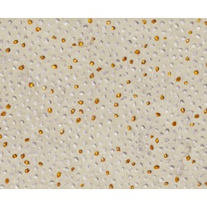 MOON  SAND VOLCANO 29,75X89,46 - APARICI APARICI CERAMICA - 1