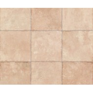 ARGILLA OCHRE NATURAL 50X100 - APAVISA APAVISA - 1