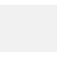 LUMINA WHITE MATT 29,75X89,46 - APAVISA APAVISA - 1