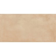 AMURI BISCOTTO 60X120 SQ - RAGNO RCPH RAGNO  - 1