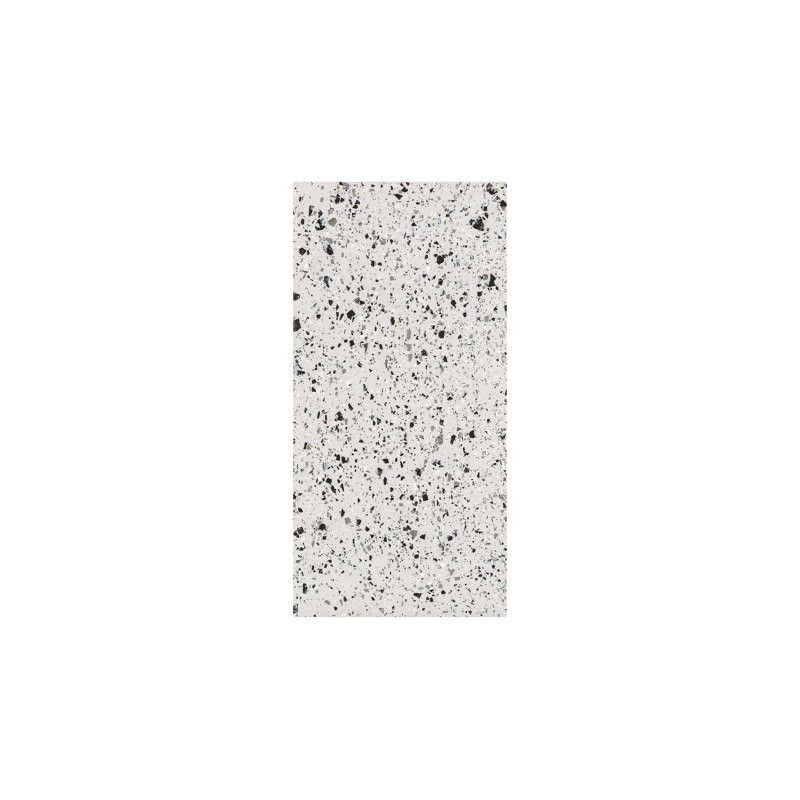 TERRAZZOTECH ARGENTO 60x120 - CASALGRANDE PADANA 14460156 CASALGRANDE PADANA - 1